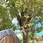 Casas De Maragouzos * Silleda