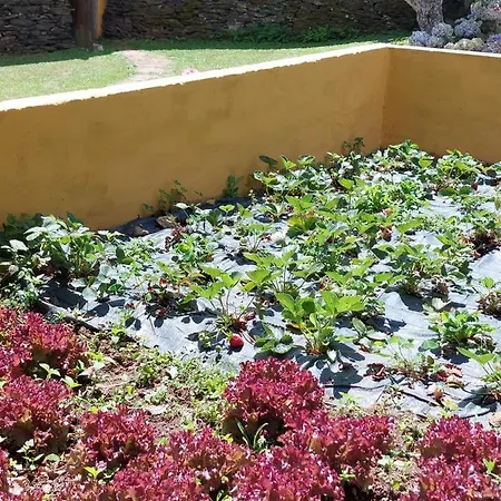 Ferienhaus Casas De Maragouzos *