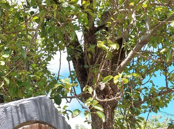 Casas De Maragouzos * סילדה