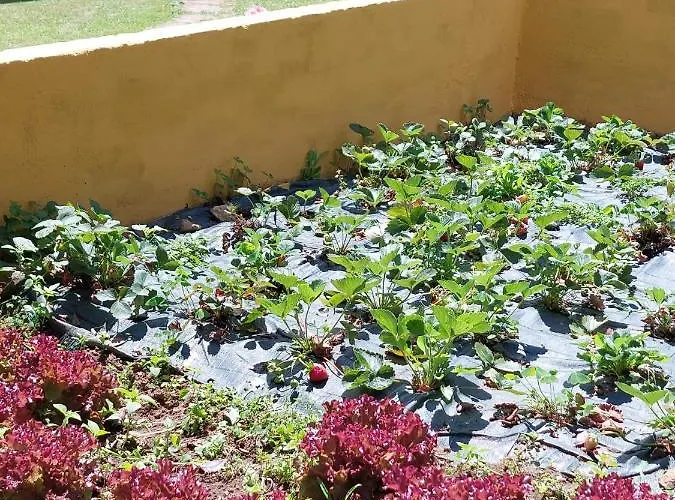 בית נופש Casas De Maragouzos *